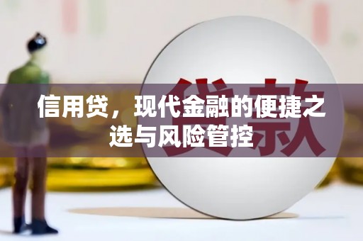 代县信用贷，现代金融的便捷之选与风险管控