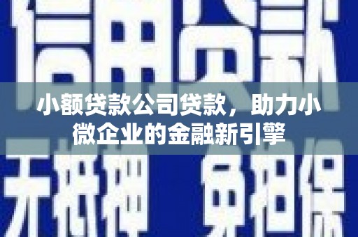 代县小额贷款公司贷款，助力小微企业的金融新引擎