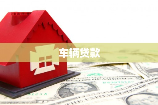 代县车辆贷款