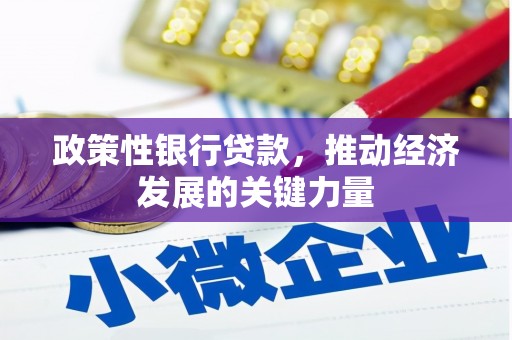代县政策性银行贷款，推动经济发展的关键力量