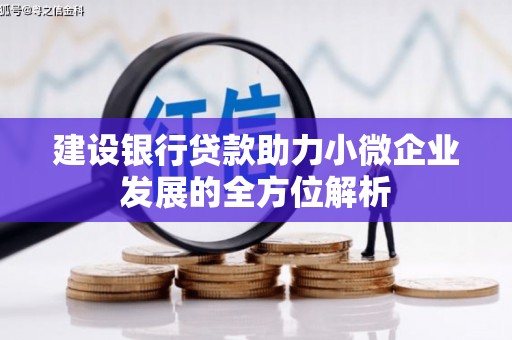 代县建设银行贷款助力小微企业发展的全方位解析
