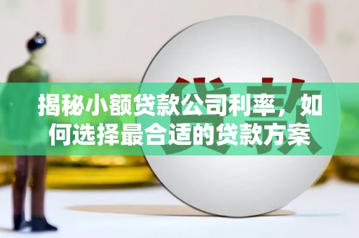 代县揭秘小额贷款公司利率，如何选择最合适的贷款方案