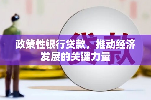 代县政策性银行贷款，推动经济发展的关键力量