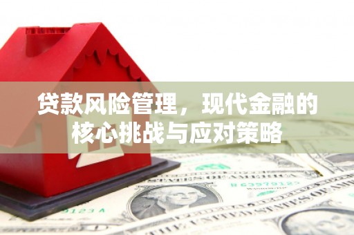 代县贷款风险管理，现代金融的核心挑战与应对策略