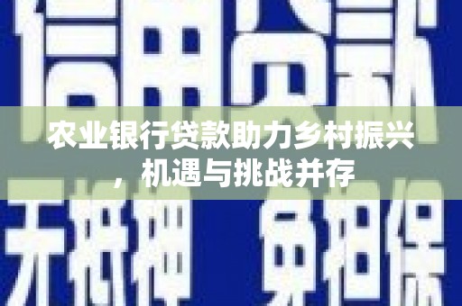代县农业银行贷款助力乡村振兴，机遇与挑战并存