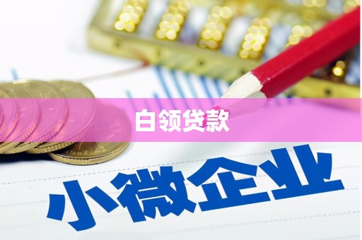 代县白领贷款