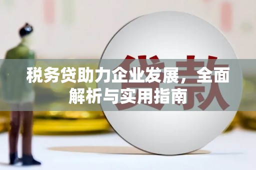 代县税务贷助力企业发展，全面解析与实用指南