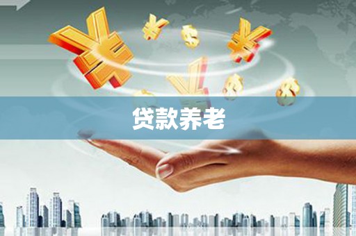 代县贷款养老