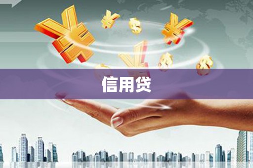 代县信用贷