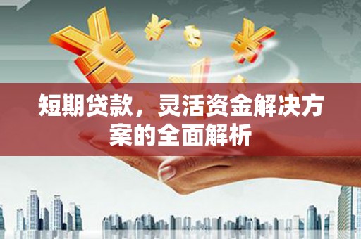 代县短期贷款，灵活资金解决方案的全面解析