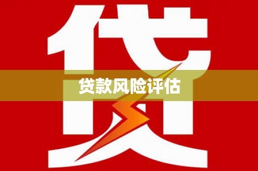 代县贷款风险评估