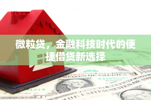 代县微粒贷，金融科技时代的便捷借贷新选择