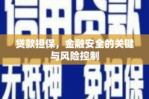 代县贷款担保，金融安全的关键与风险控制