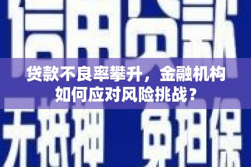 代县贷款不良率攀升，金融机构如何应对风险挑战？