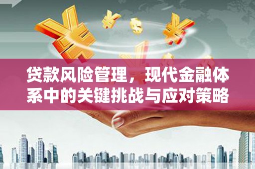 代县贷款风险管理，现代金融体系中的关键挑战与应对策略