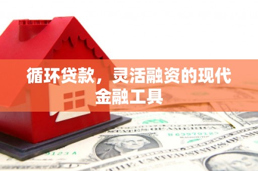 代县循环贷款，灵活融资的现代金融工具