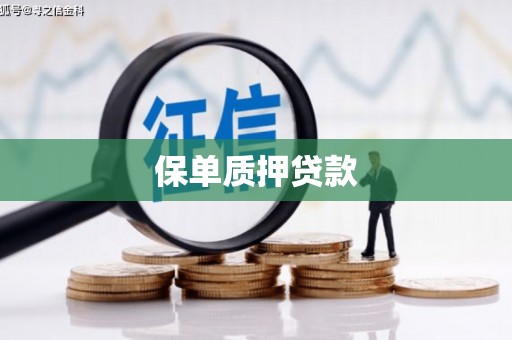 代县保单质押贷款