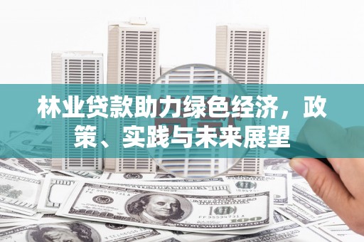 代县林业贷款助力绿色经济，政策、实践与未来展望