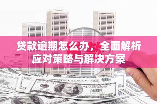 代县贷款逾期怎么办，全面解析应对策略与解决方案