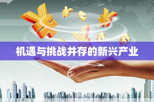 代县机遇与挑战并存的新兴产业