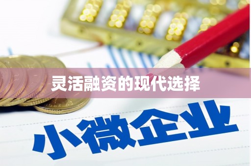 代县灵活融资的现代选择