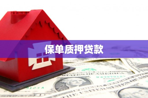 代县保单质押贷款