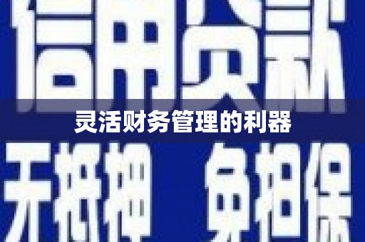 代县灵活财务管理的利器