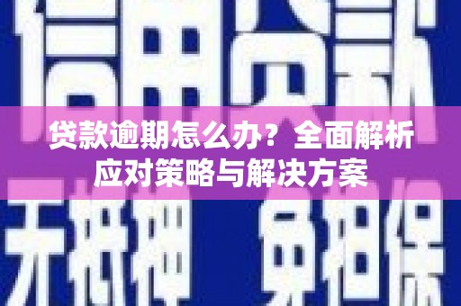 代县贷款逾期怎么办？全面解析应对策略与解决方案