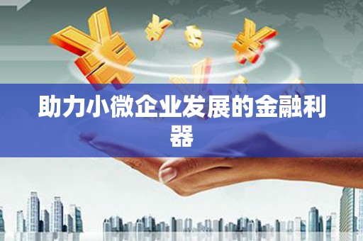 代县助力小微企业发展的金融利器