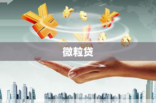 代县微粒贷