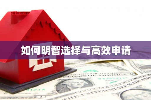 代县如何明智选择与高效申请