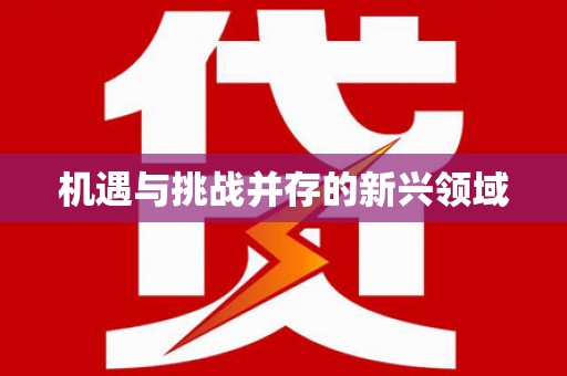 代县机遇与挑战并存的新兴领域