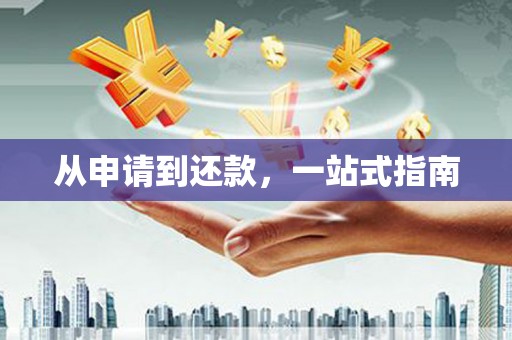 代县从申请到还款，一站式指南