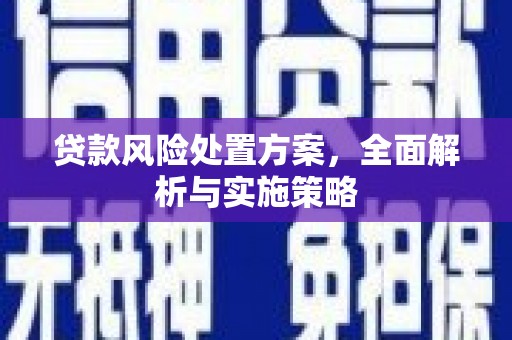 代县贷款风险处置方案，全面解析与实施策略