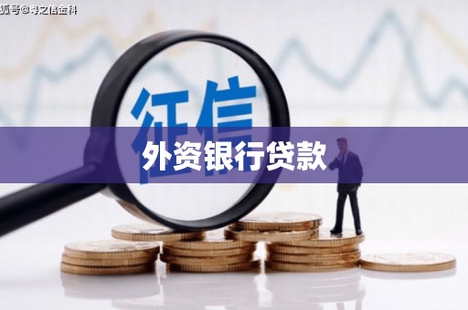 代县外资银行贷款