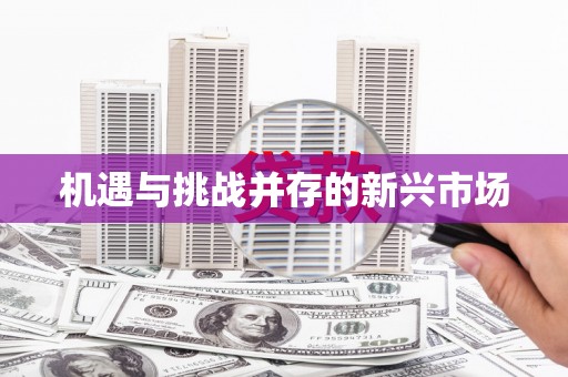 代县机遇与挑战并存的新兴市场