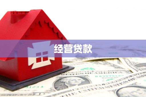 代县经营贷款