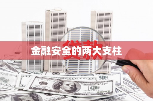 代县金融安全的两大支柱