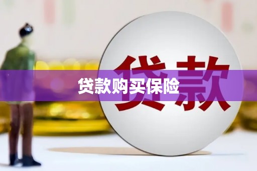 代县贷款购买保险
