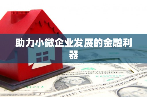 代县助力小微企业发展的金融利器