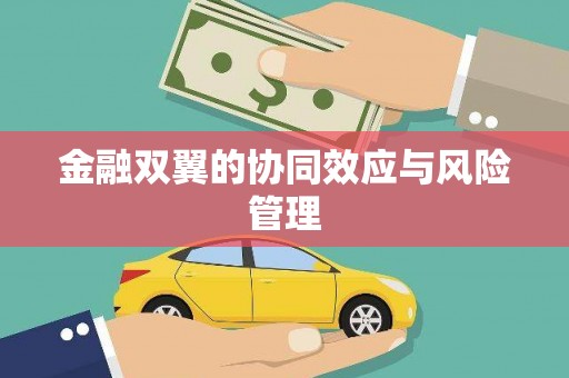 代县金融双翼的协同效应与风险管理