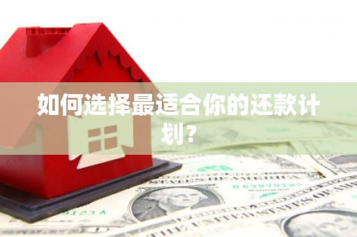 代县如何选择最适合你的还款计划？
