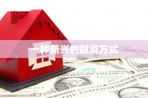 代县一种新兴的融资方式