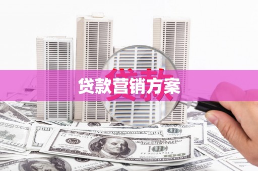代县贷款营销方案