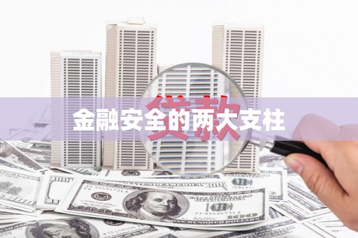 代县金融安全的两大支柱