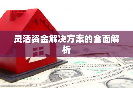 代县灵活资金解决方案的全面解析