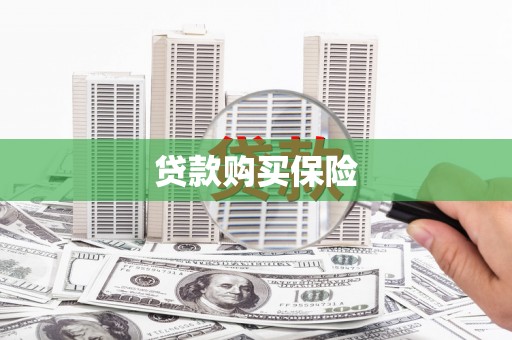 代县贷款购买保险