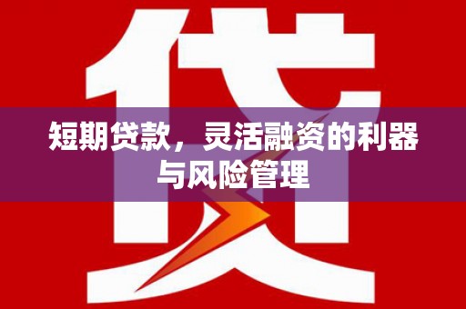 代县短期贷款，灵活融资的利器与风险管理