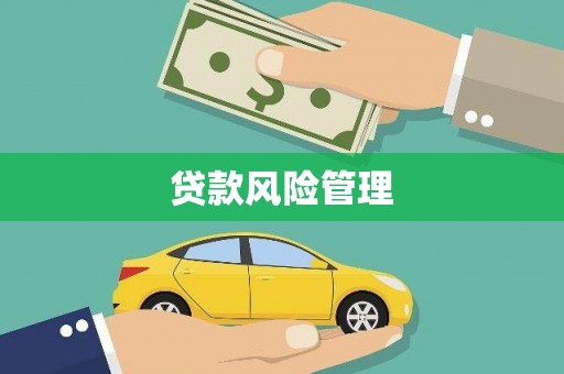 代县贷款风险管理