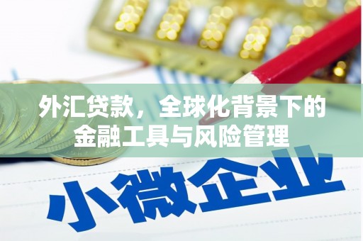 代县外汇贷款，全球化背景下的金融工具与风险管理